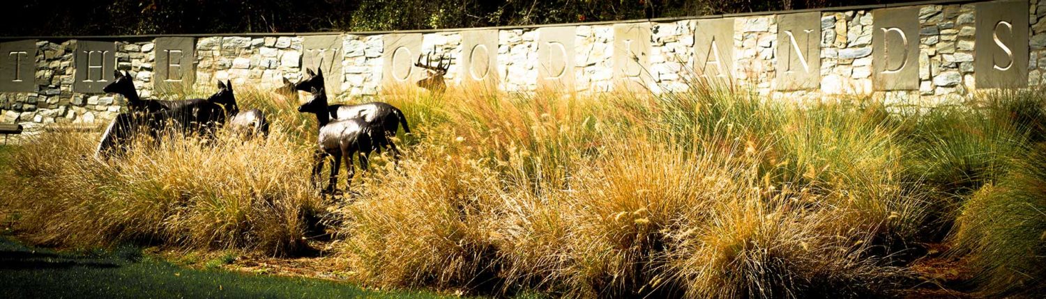 HomeDeerSlide
